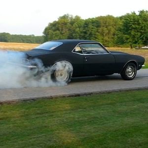 Meet your Posher, Roberta